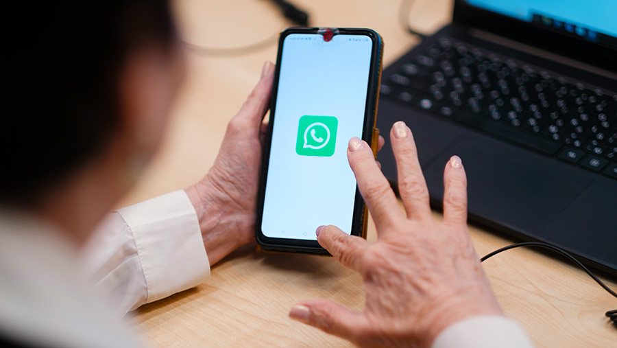 Роскомнадзор ограничил работу WhatsApp на юге РФ для борьбы с преступностью