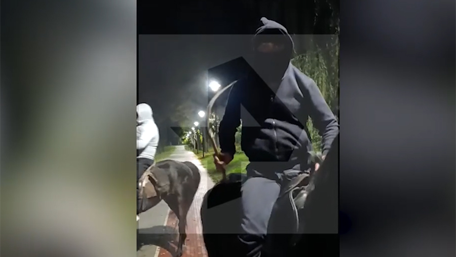 В Кисловодске на пенсионеров напали всадники на лошадях