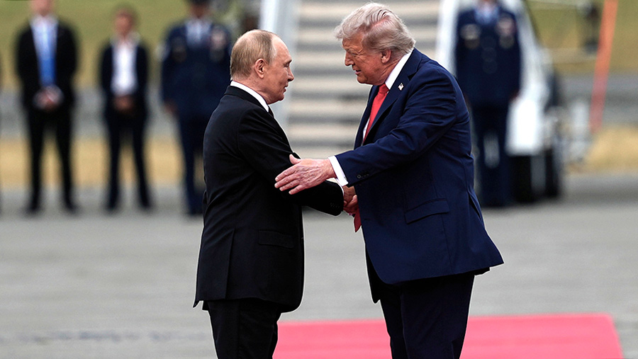 Рябков заявил о необходимости подготовки содержания встречи Путина и Трампа