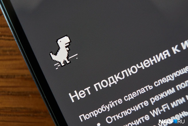 Люди не понимают, почему в крае нет интернета | Источник: Александр Ощепков / NGS.RU