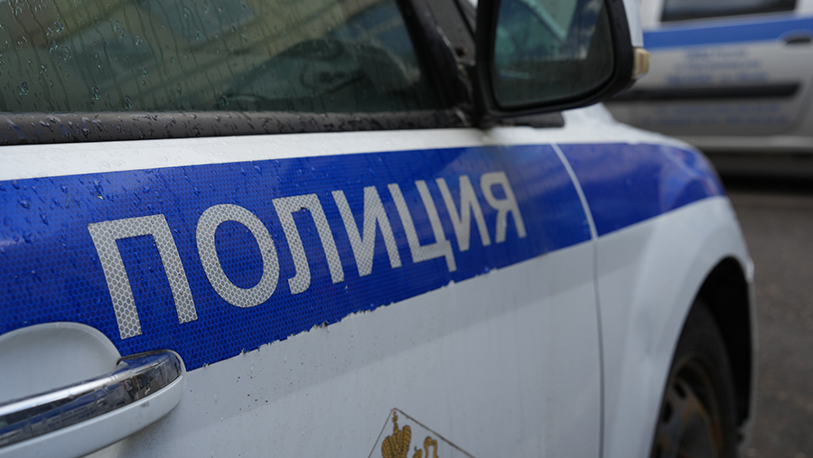 Задержанных на&nbsp;Сенной площади в&nbsp;Петербурге музыкантов отпустили из&nbsp;отдела полиции