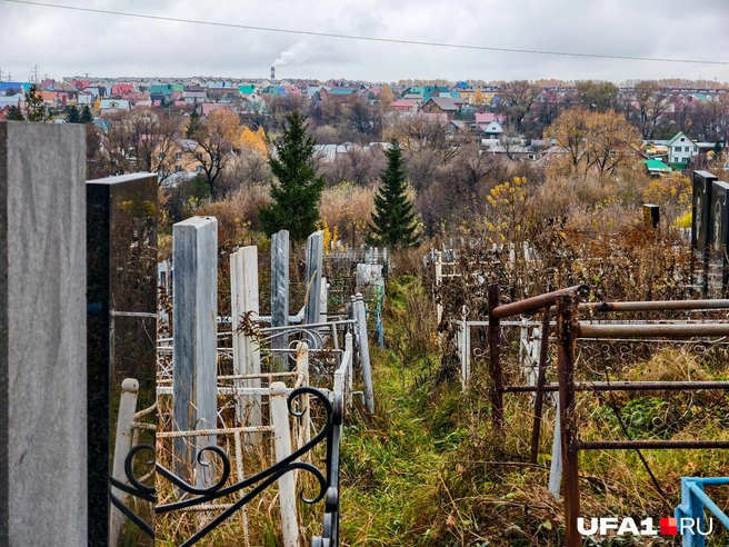 Место на кладбище в Краснодаре предоставляют бесплатно | Источник: Булат Салихов / UFA1.RU