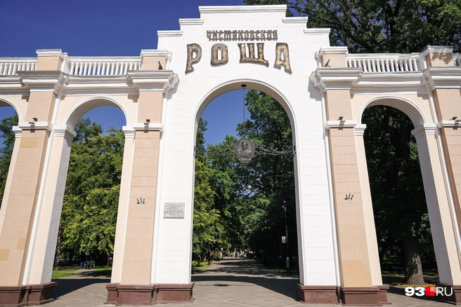 Чистяковской роще исполнилось 125 лет  | Источник: Дарья Паращенко / 93.RU