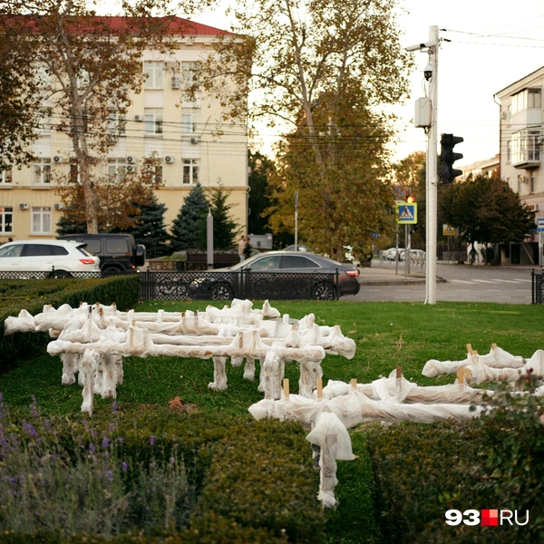 Источник: Дарья Паращенко / 93.RU