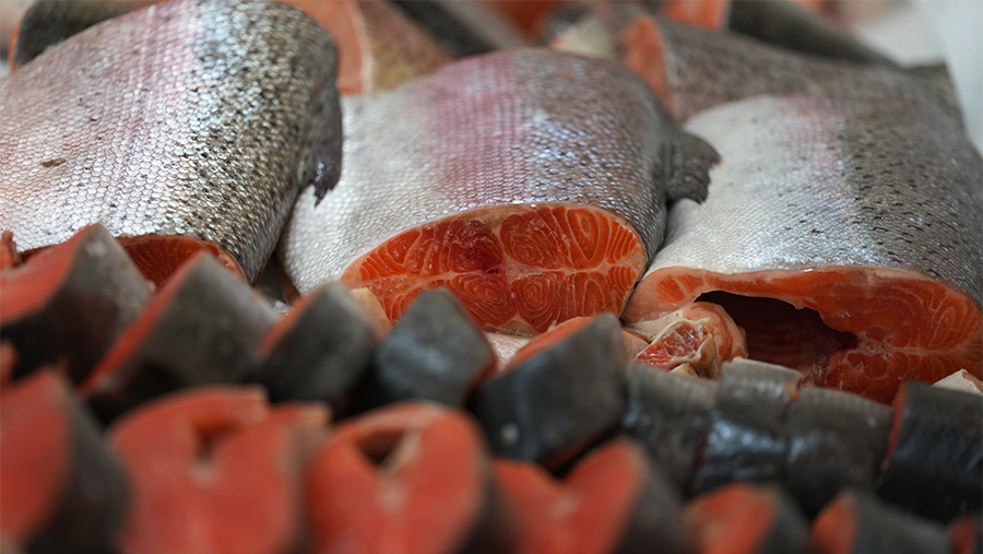Врач рассказала о лучших продуктах для поддержания иммунитета в конце осени Врач рассказала о лучших продуктах для поддержания иммунитета в конце осени